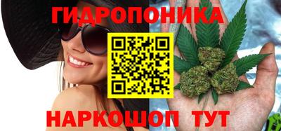СК Рыбинск