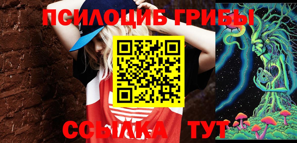 Псилоцибиновые грибы GOLDEN TEACHER  Вход с VPN  Петрозаводск  Псилоцибиновые грибы прущие грибы 